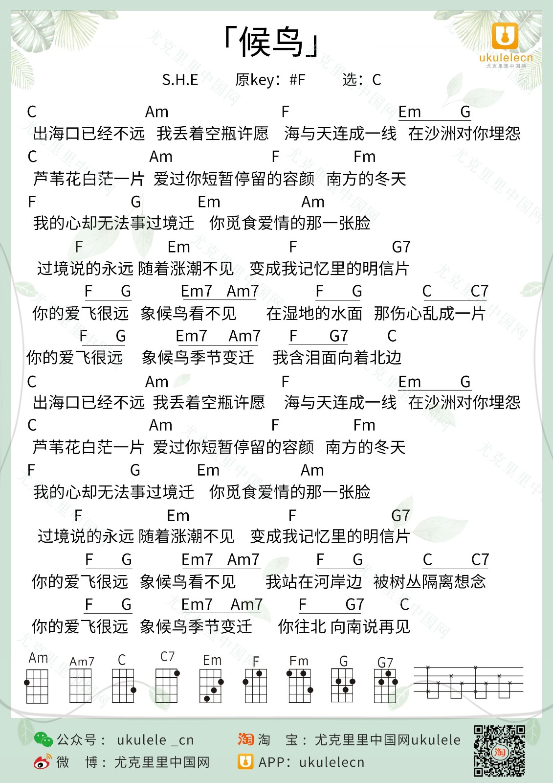 候鸟尤克里里谱-S.H.E-C调指法