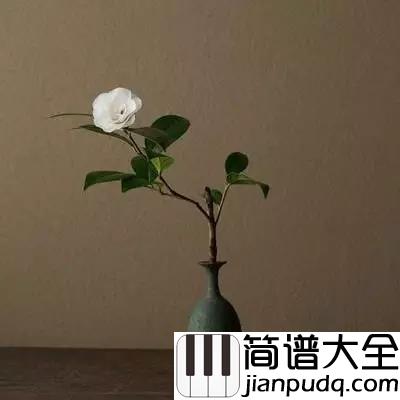 往事只能回味吉他谱_韩宝仪_我只有在梦里相依偎