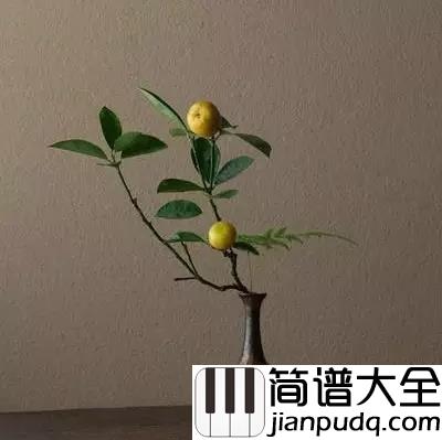 往事只能回味吉他谱_韩宝仪_我只有在梦里相依偎