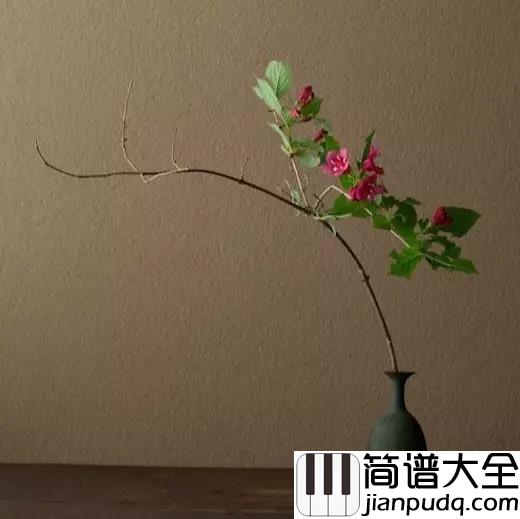 往事只能回味吉他谱_韩宝仪_我只有在梦里相依偎