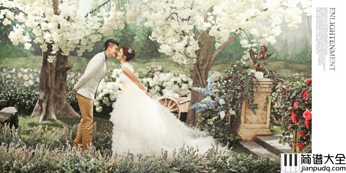 梦中的婚礼尤克里里谱_忘我陶醉在一个浪漫的童话之中