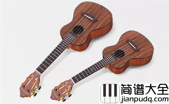 新手选购尤克里里，什么最重要？