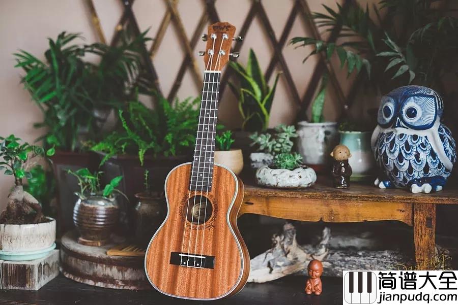 学习尤克里里_·_必需的10个小技巧