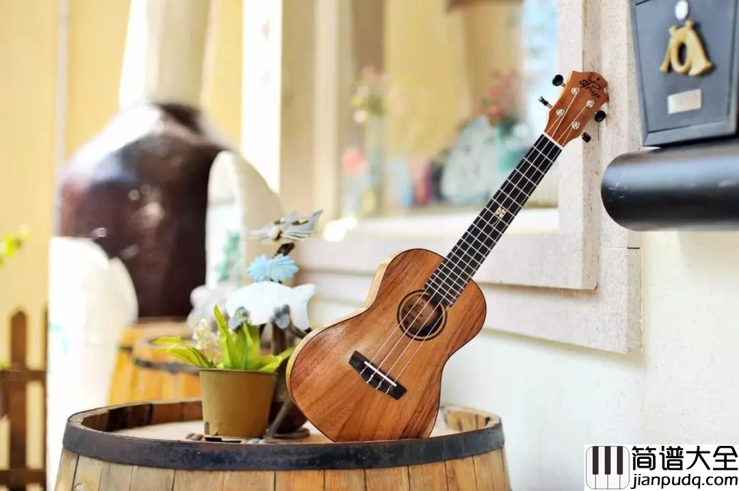 学习尤克里里_·_必需的10个小技巧