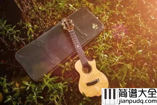 尤克里里（Ukulele）：世界顶级尤克里里大师现场弹奏_配上这背景真的无可比拟