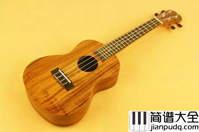 尤克里里（Ukulele）：世界顶级尤克里里大师现场弹奏_配上这背景真的无可比拟