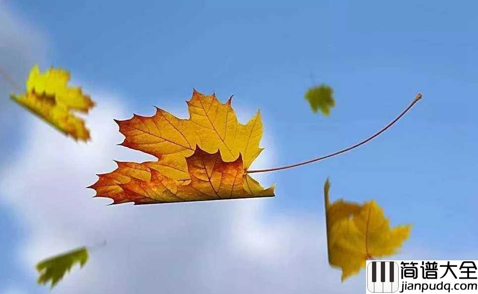 秋日恋歌钢琴谱_水木年华_阳光透过树叶斑驳的洒在地上