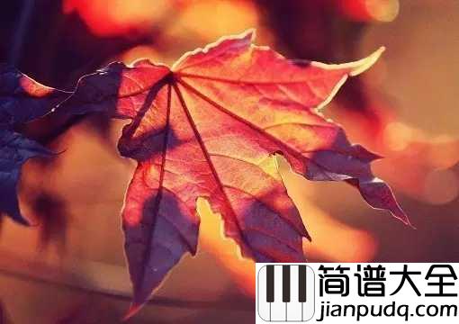 秋意浓钢琴谱_李幸倪_有诗意的季节，你风情万种