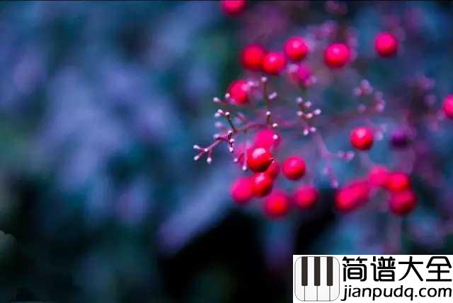 相思钢琴谱_毛阿敏_红豆生南国，是很遥远的事情