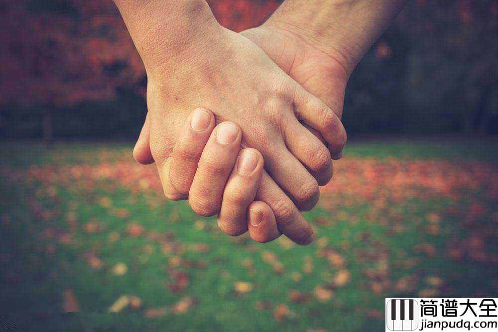 小手拉大手钢琴谱_梁静茹__你是我的梦像北方的风