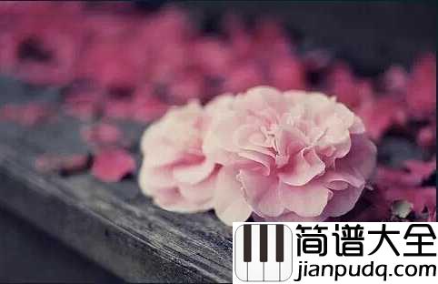 花儿落了钢琴谱_林海_花落了，忘记了，满怀感伤的眸，流出泪滴