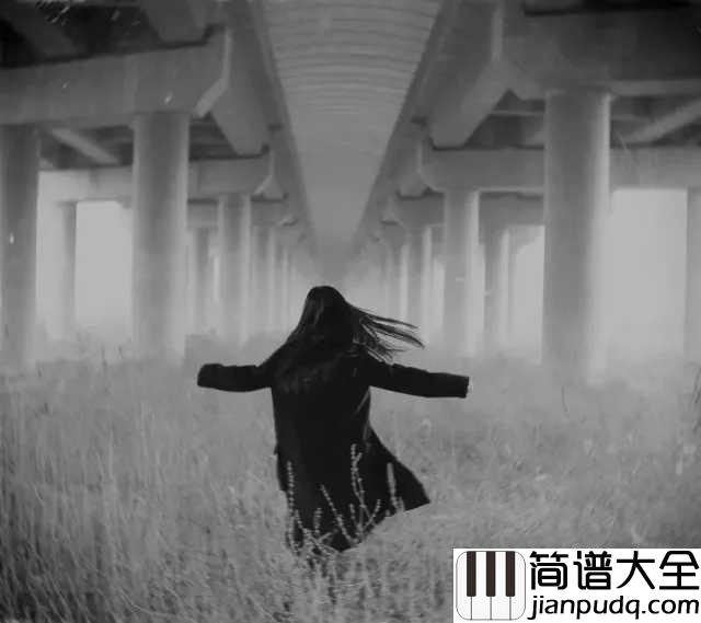 The_truth_that_you_leave钢琴谱_这首钢琴曲，曾有无数人为它填词
