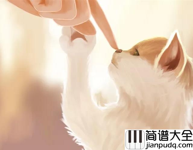 避风港钢琴谱_冯曦妤_生活不是等暴风雨过去_而是学会在风雨中跳舞