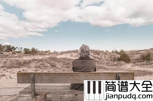 其实你不懂我的心钢琴谱_童安格_经典老歌怀旧风