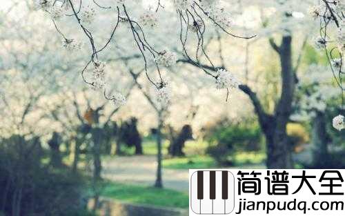 勇敢爱钢琴谱_Mi2_你愿意做我的全世界吗