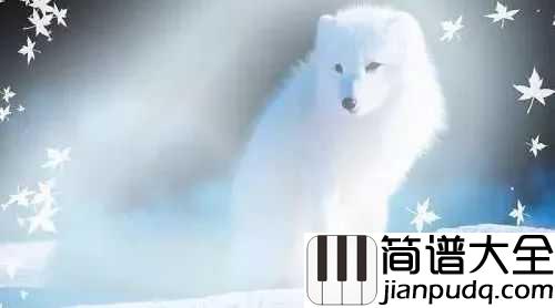 白狐钢琴谱_陈瑞_世间情动不过盛夏白瓷梅子汤