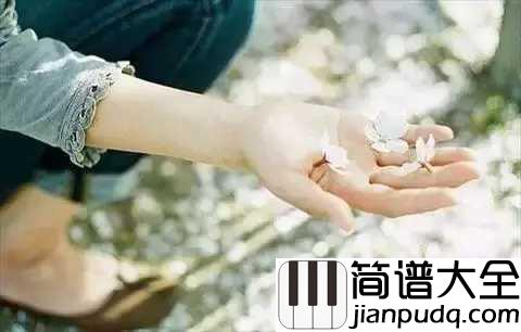 白狐钢琴谱_陈瑞_世间情动不过盛夏白瓷梅子汤