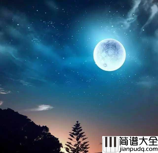 白月光钢琴谱_张信哲_每个人都有一段心伤