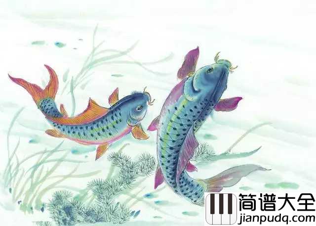 非鱼钢琴谱_五色石南叶/慕寒_子非鱼，如何知我心何