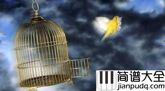 囚鸟钢琴谱_彭羚_我是被你囚禁的鸟_，已经忘了天有多高