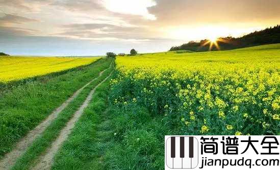 春天里钢琴谱_汪峰_人生之路蜿蜒曲折，多想在春天的气息下享受片刻的闲暇