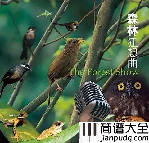 森林狂想曲五线谱_探索音乐的天堂，感受原始的魅力