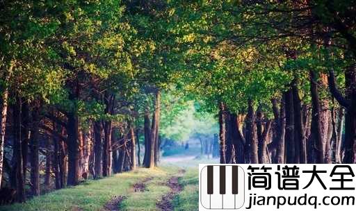 森林狂想曲五线谱_探索音乐的天堂，感受原始的魅力