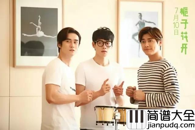 年少有你钢琴谱_李易峰_(栀子花开电影正青春推广曲)