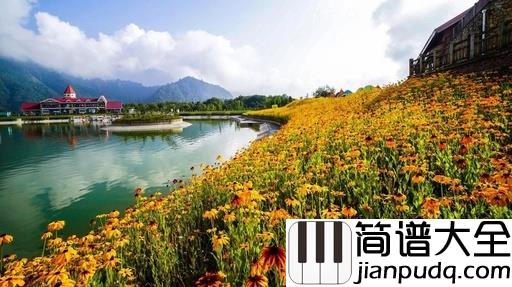 花海钢琴谱_周杰伦_过去的，回不来