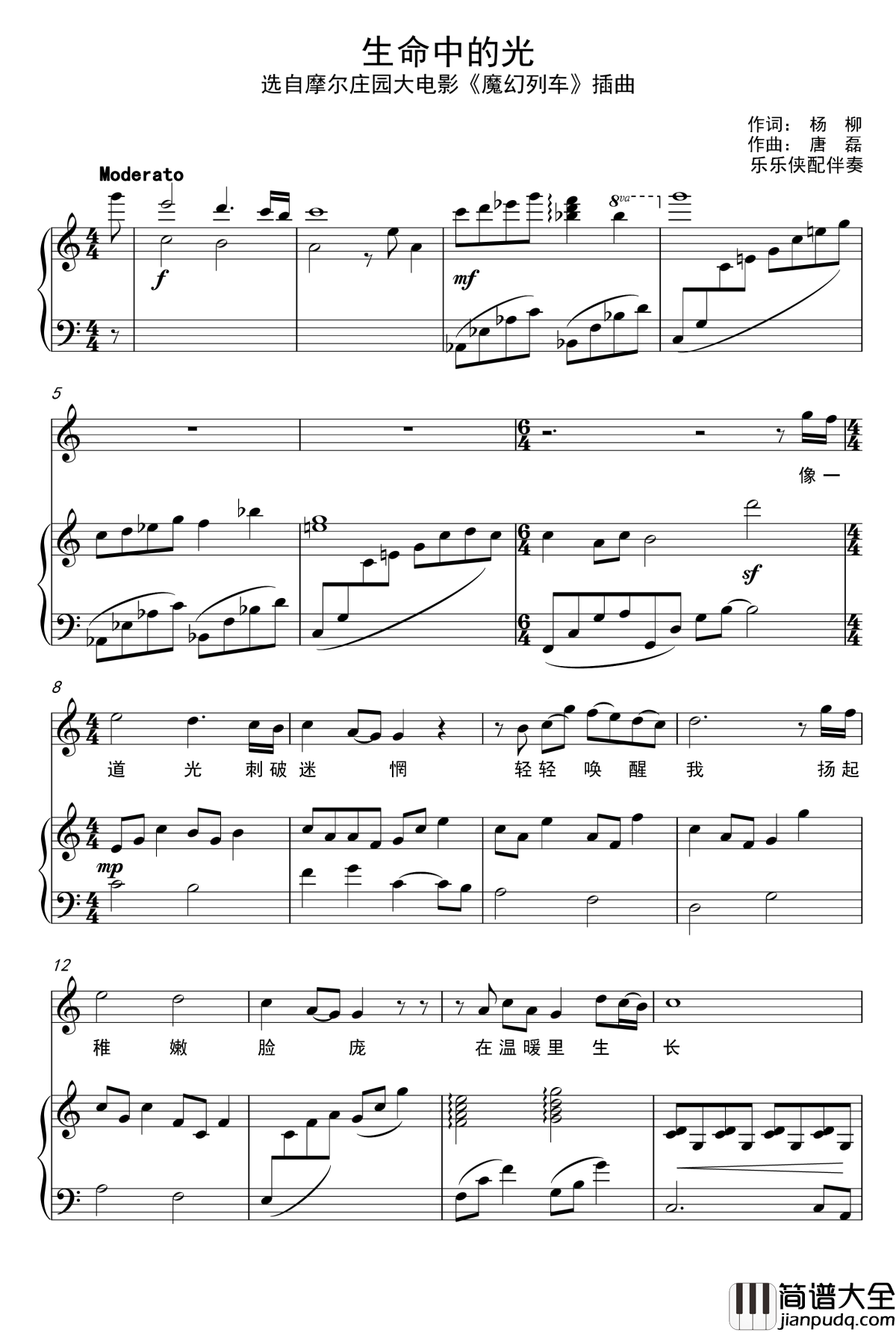 生命中的光钢琴谱_二毛