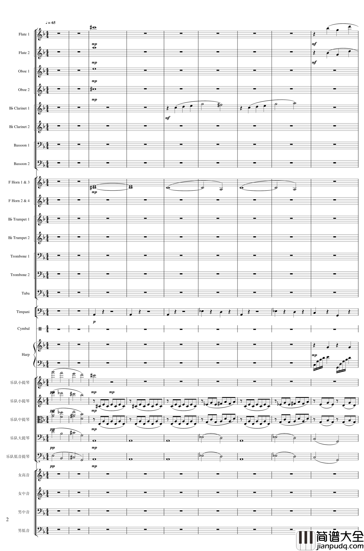 Freedom钢琴谱_Op.100_2_A_false_world_a_cruel_realit_一个球