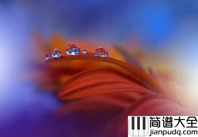 花之泪钢琴谱_Danbi_花的记忆泪的归宿