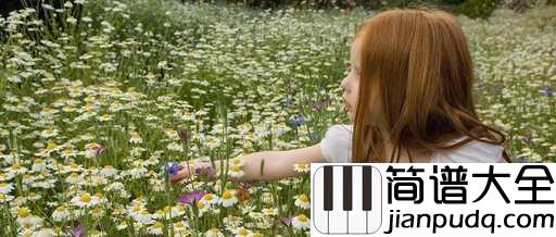 She钢琴谱_舞动精灵乐团_她们是人间不可多得的天使