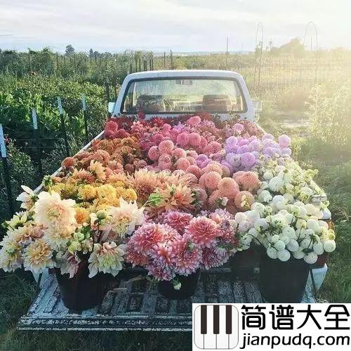 爱的纪念钢琴谱_克莱德曼_童年的回忆，爱的纪念曲