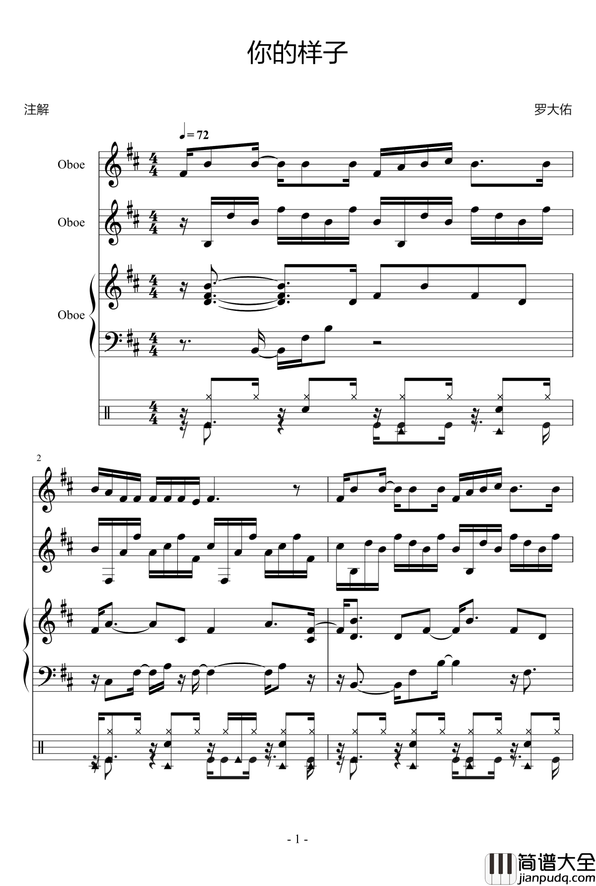 你的样子钢琴谱_罗大佑