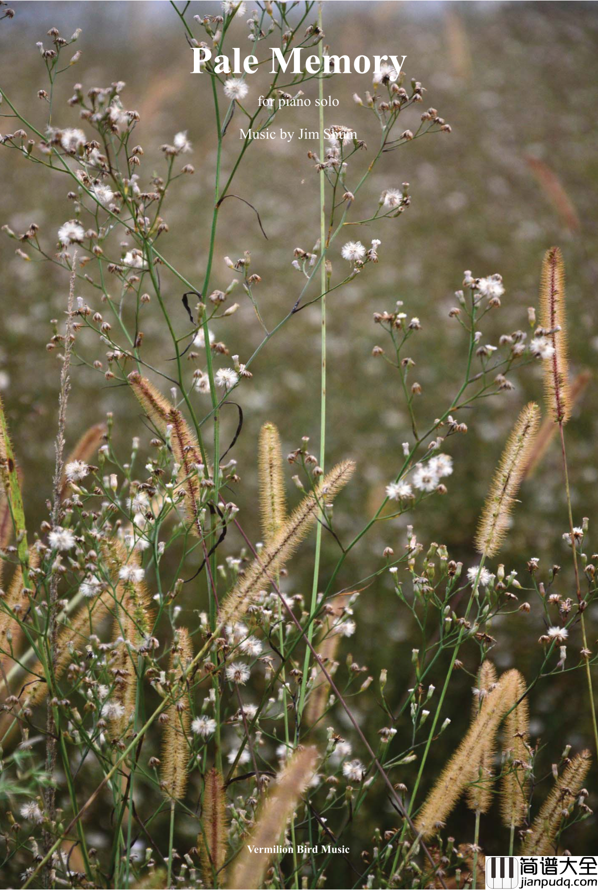 褪色记忆钢琴谱_Intro_MrSHUM