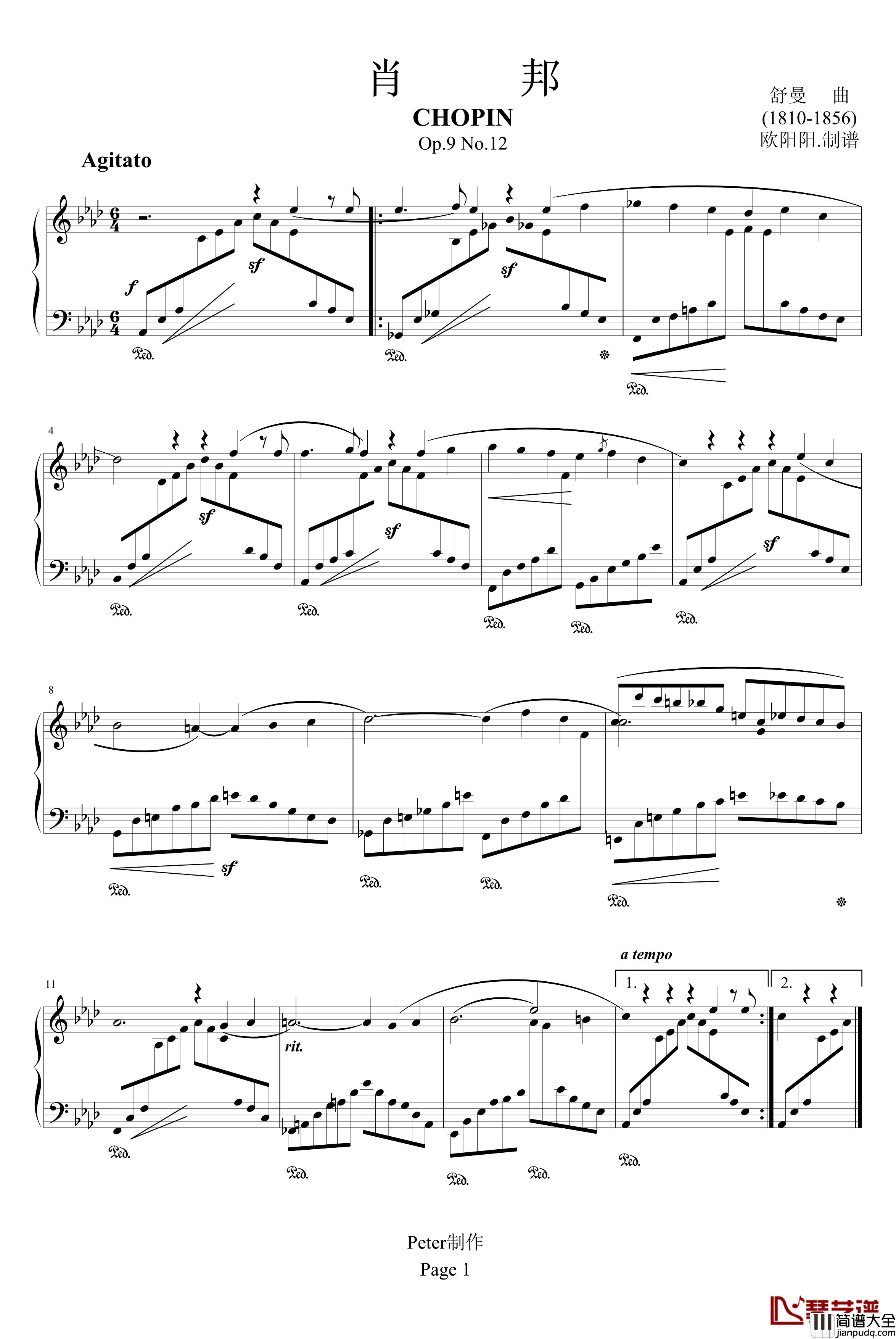 肖邦Op.9_No.12钢琴谱_舒曼