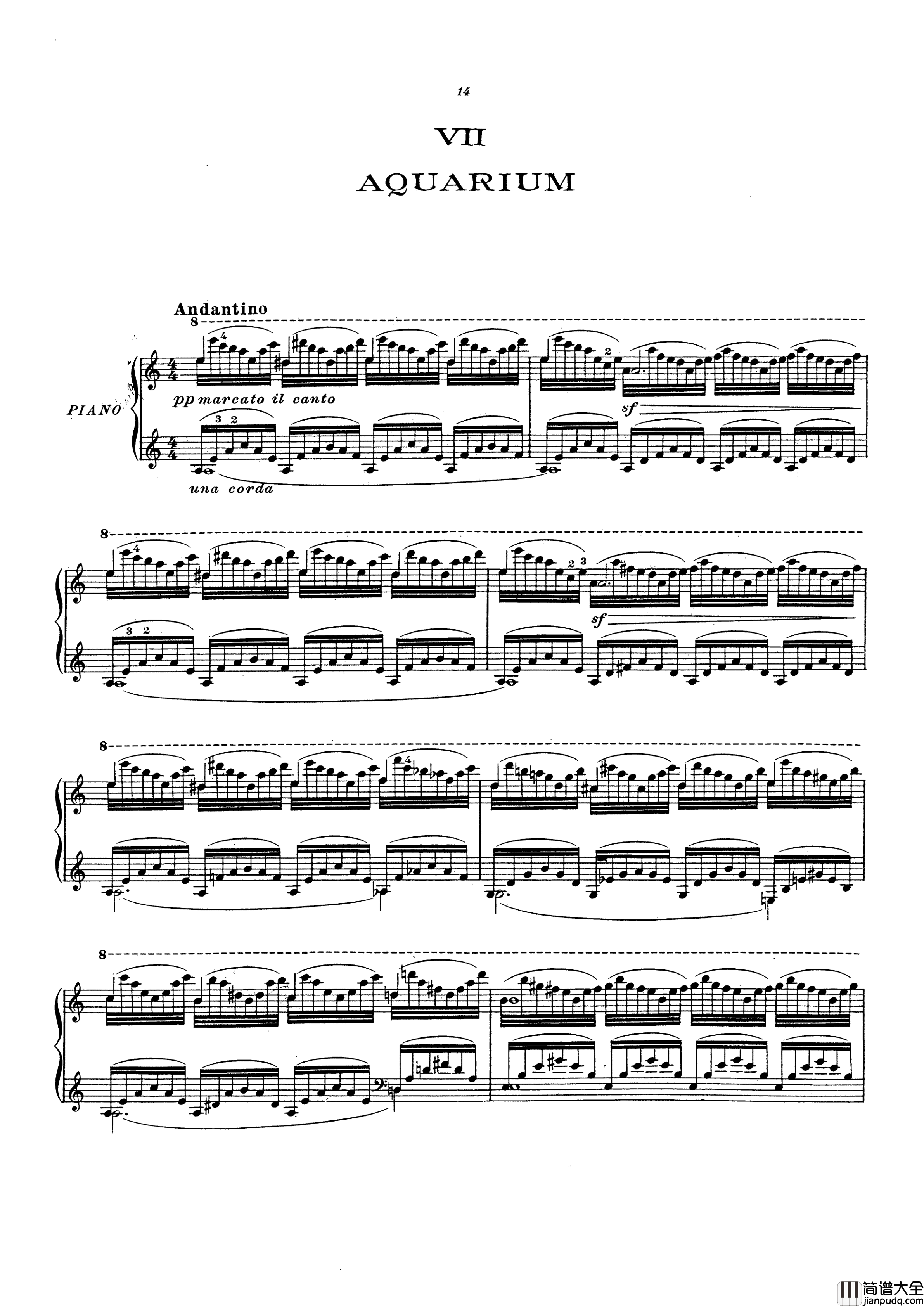 动物狂欢节钢琴谱