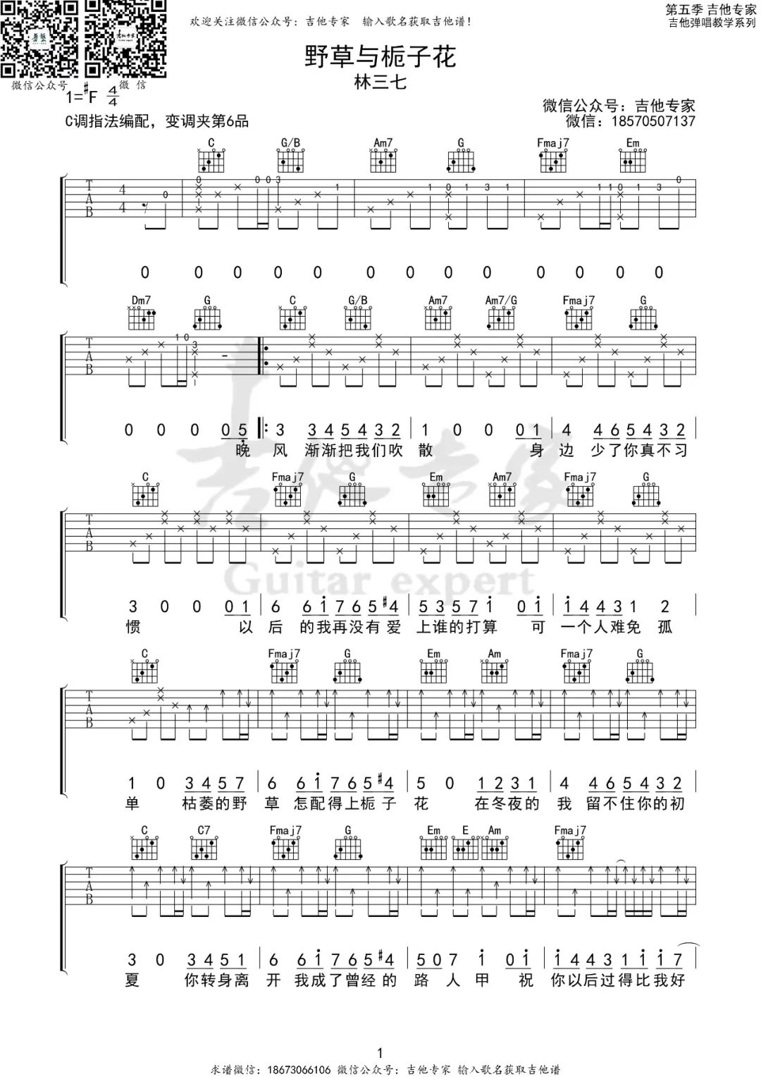 野草与栀子花吉他谱1-林三七