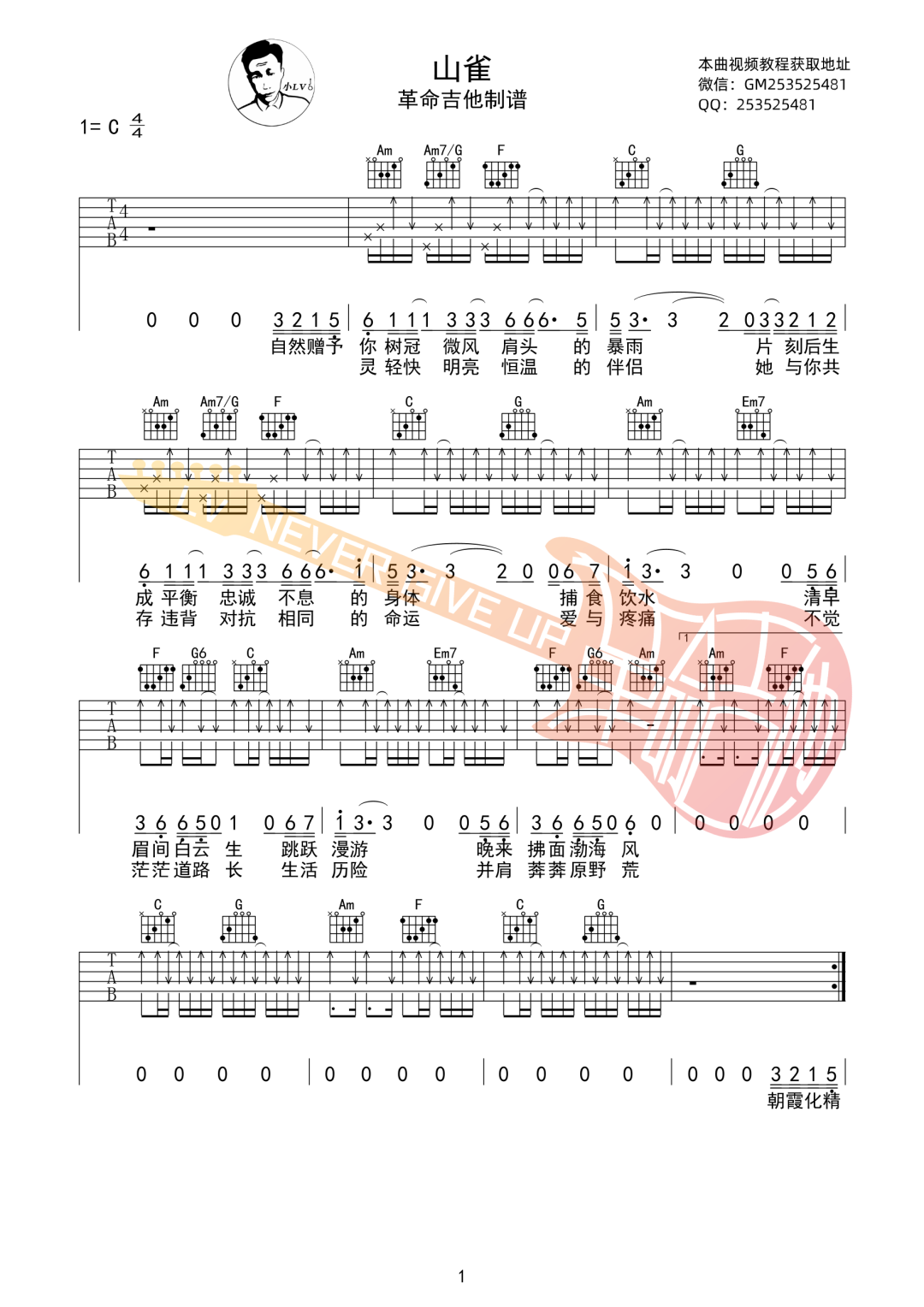 山雀吉他谱预览图