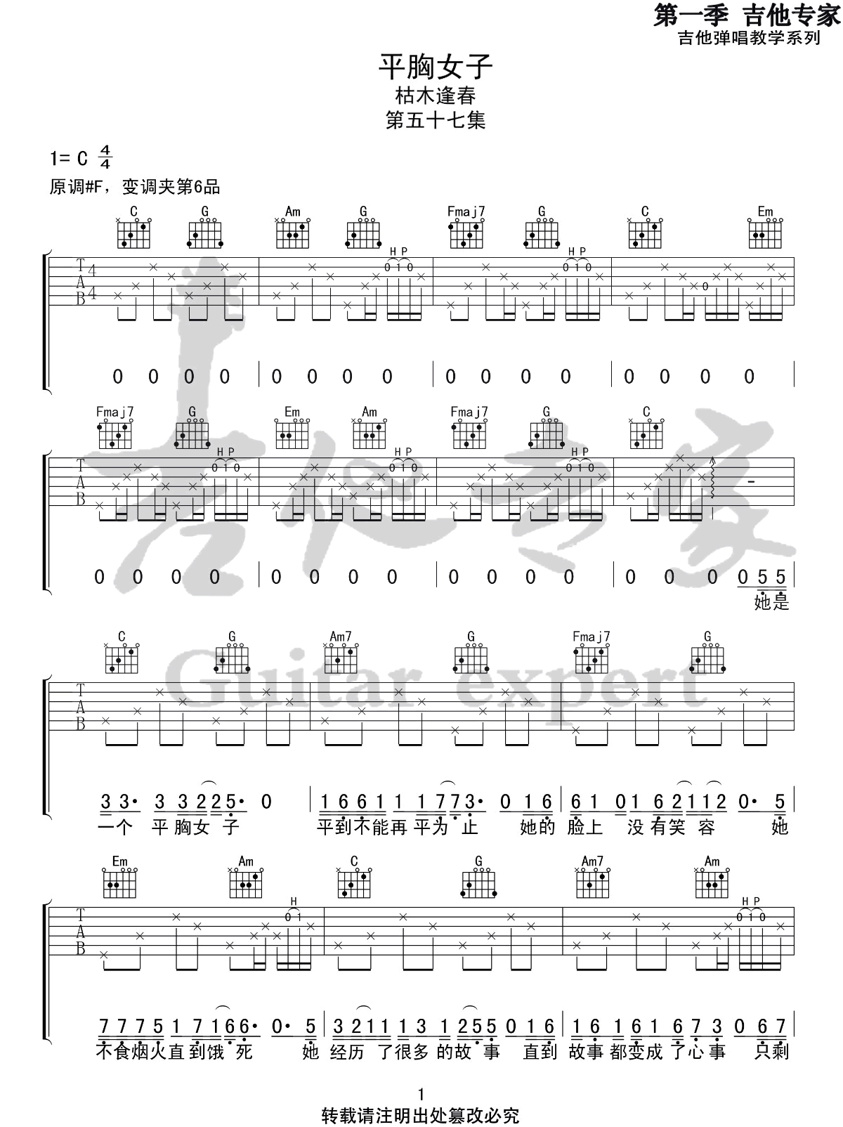 平胸女子吉他谱预览图