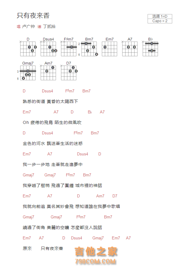 只有夜来香吉他谱D调和弦版 卢广仲