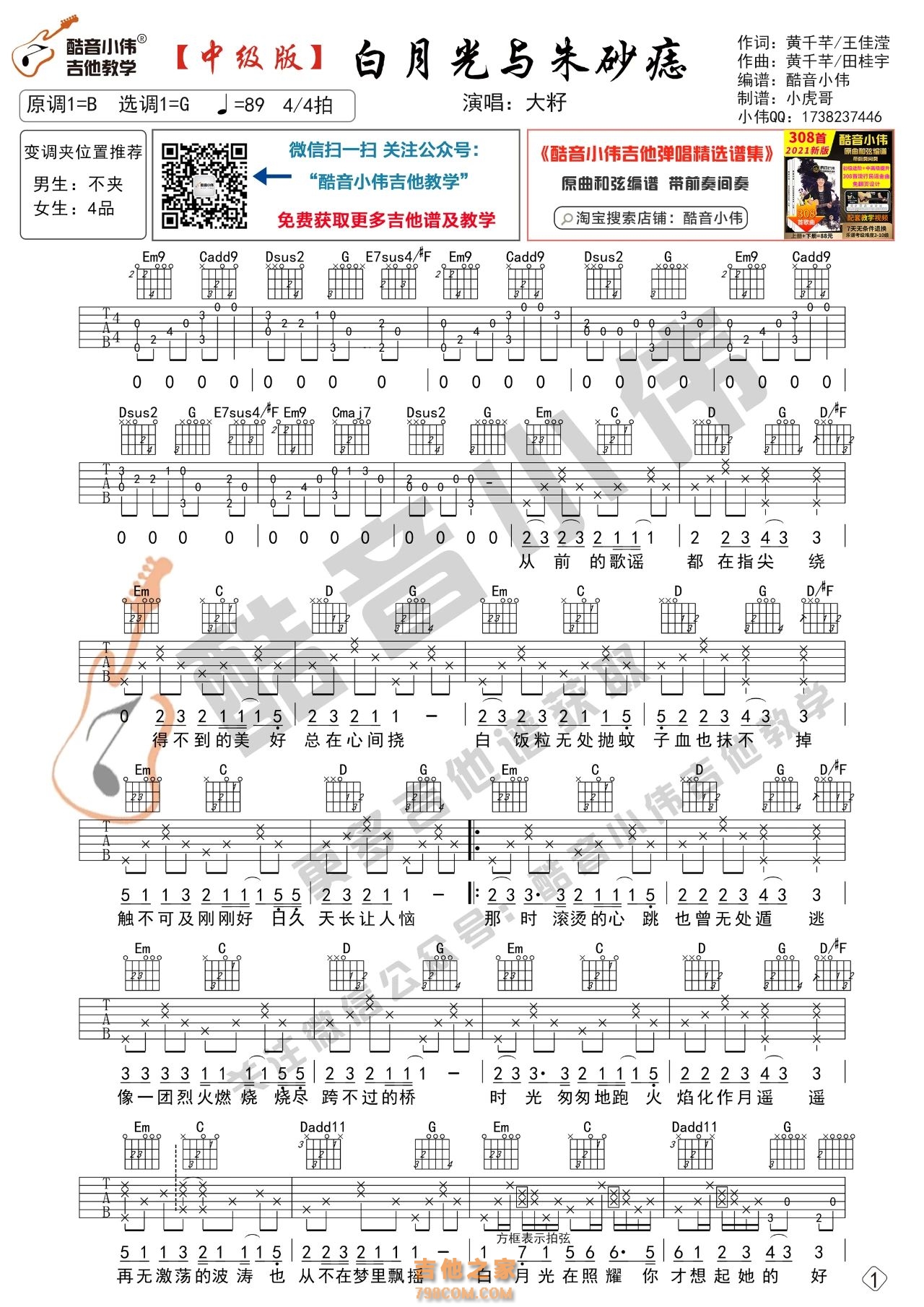 [中级版]白月光与朱砂痣吉他谱 大籽
