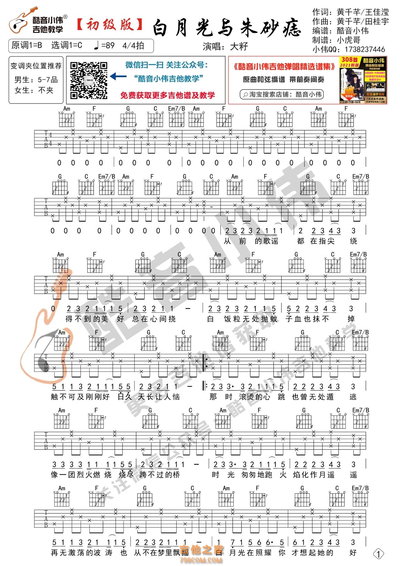 [初级版]白月光与朱砂痣吉他谱 大籽