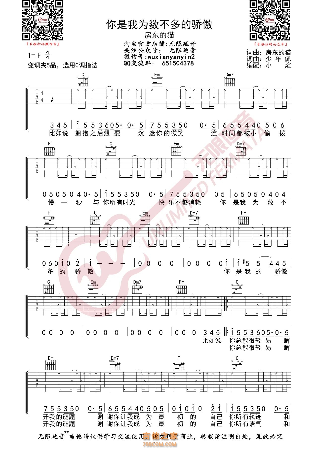 房东的猫 你是我为数不多的骄傲 吉他谱