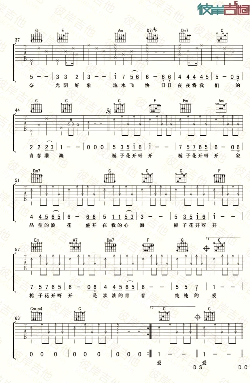 栀子花开吉他谱2
