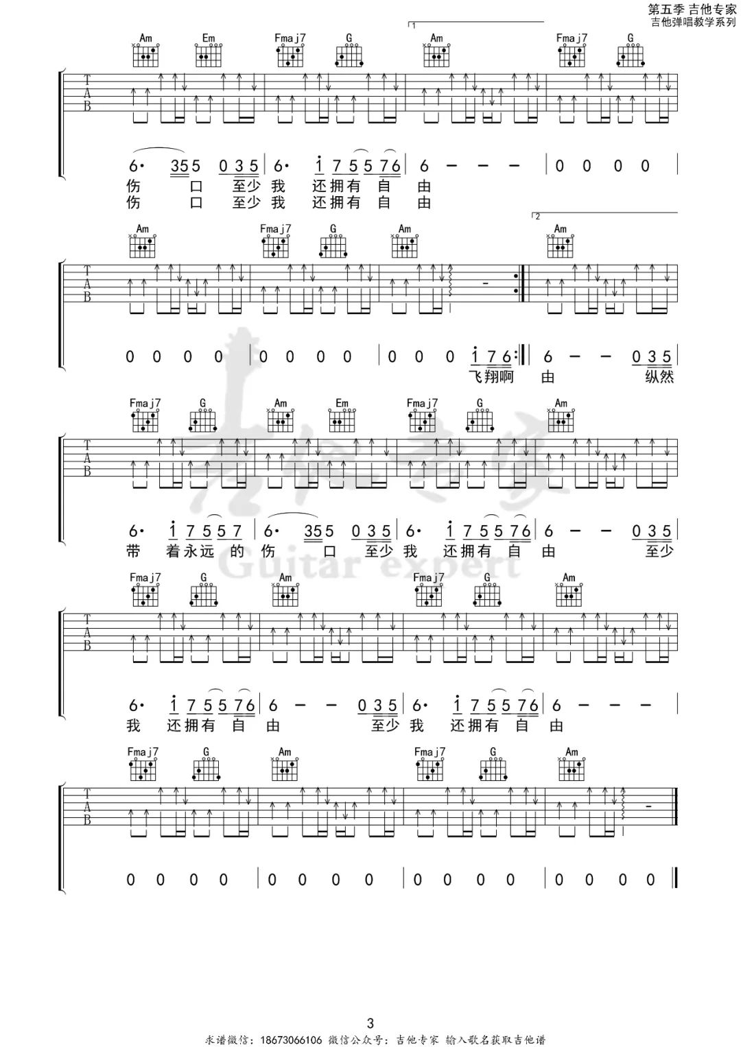 白鸽吉他谱3