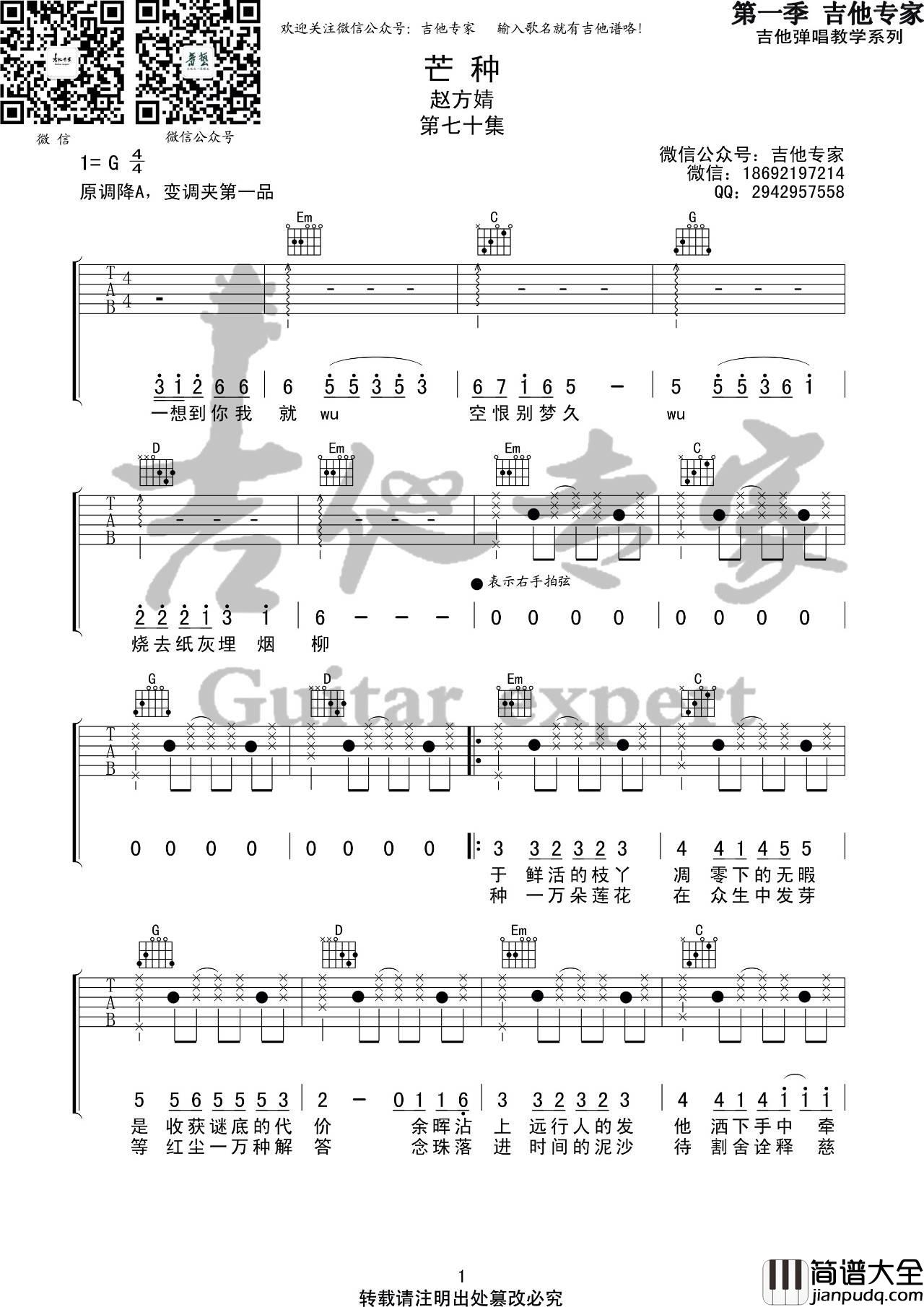 芒种吉他谱_G调六线谱_音艺吉他编配_赵方婧