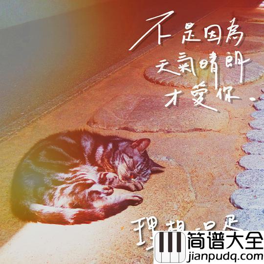 不是因为天气晴朗才爱你吉他谱_理想混蛋_温馨也充满了朴实的浪漫