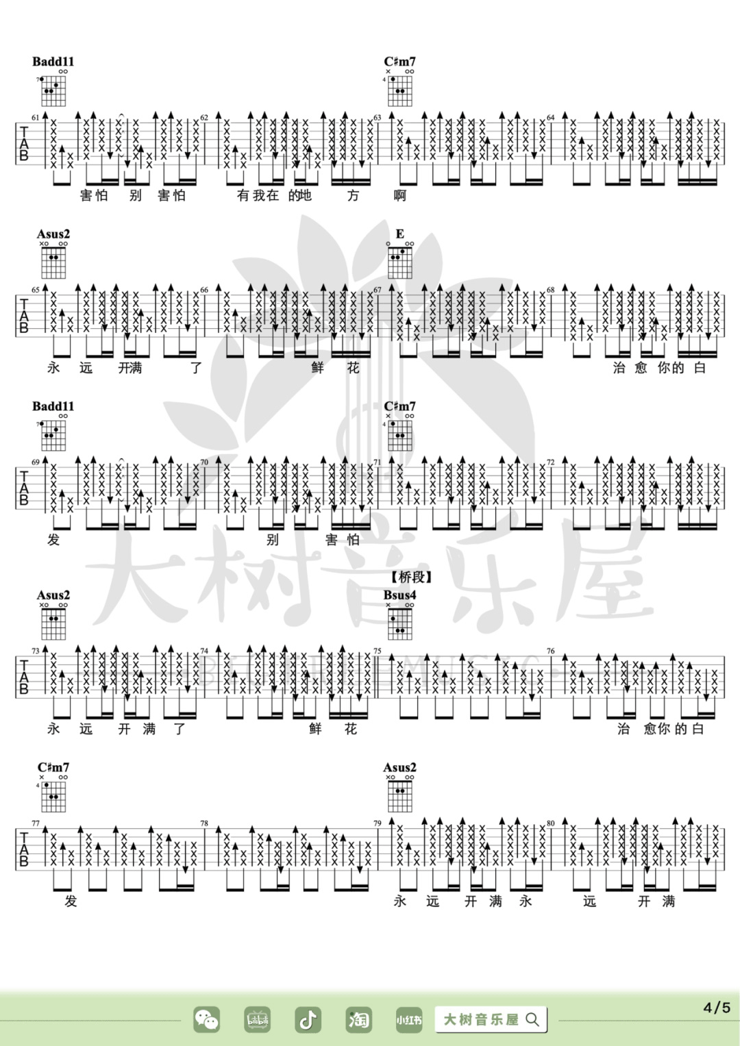 鲜花吉他谱预览图